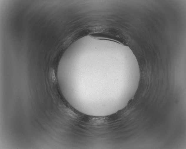 X0000062150089200512301604