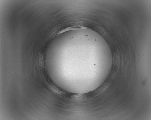 X0000062150092200512301604