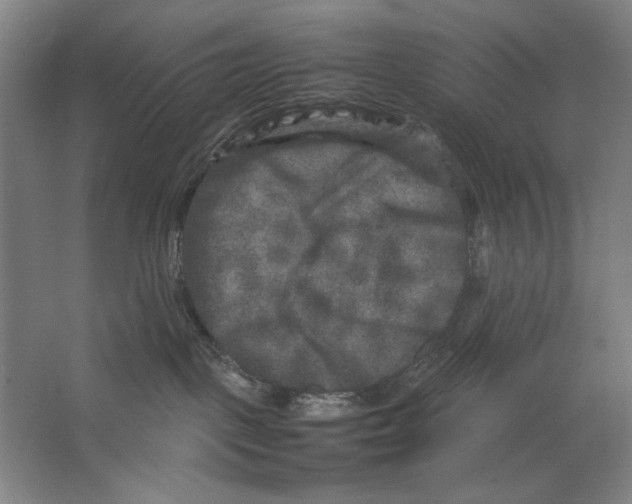 X0000062150093200512301604