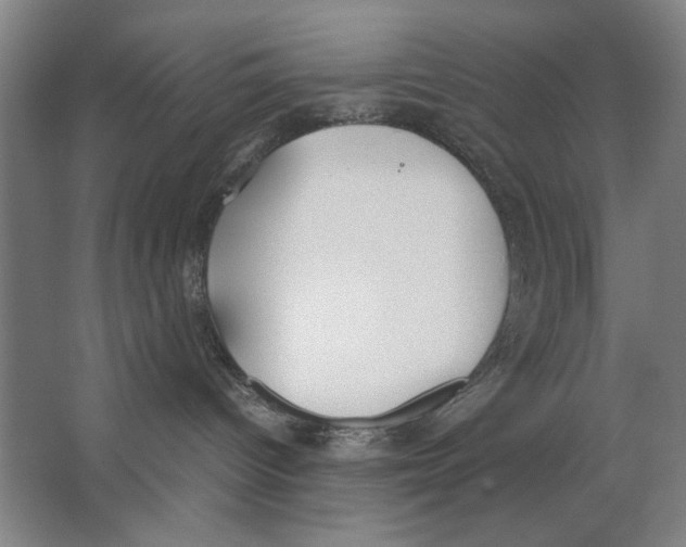 X0000062150096200512301604