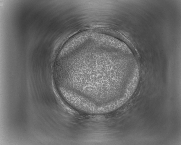 X0000062150097200512301603