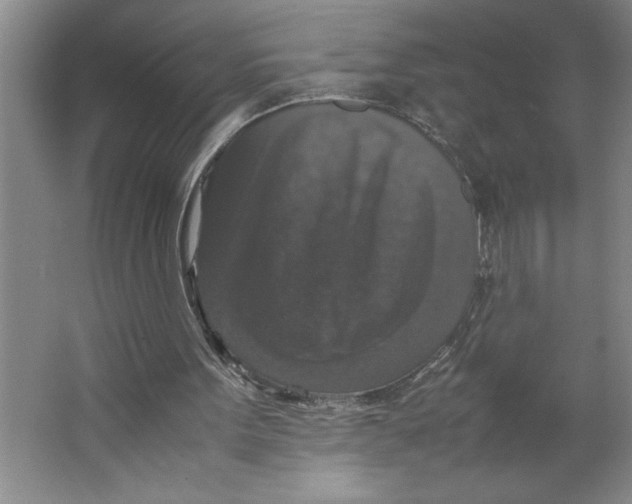 X0000062150099200512301603