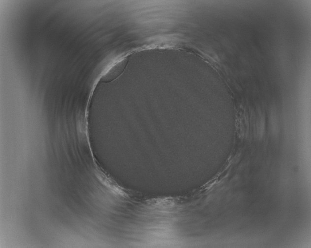 X0000062150100200512301603