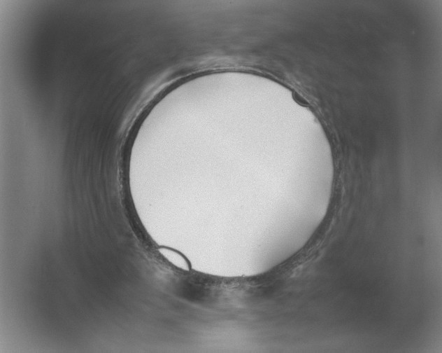 X0000062150103200512301603