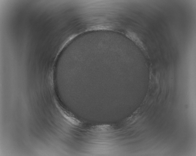 X0000062150108200512301603