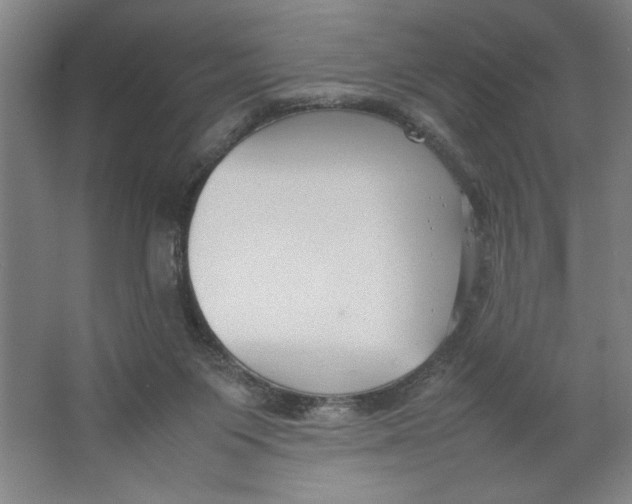 X0000062150119200512301603