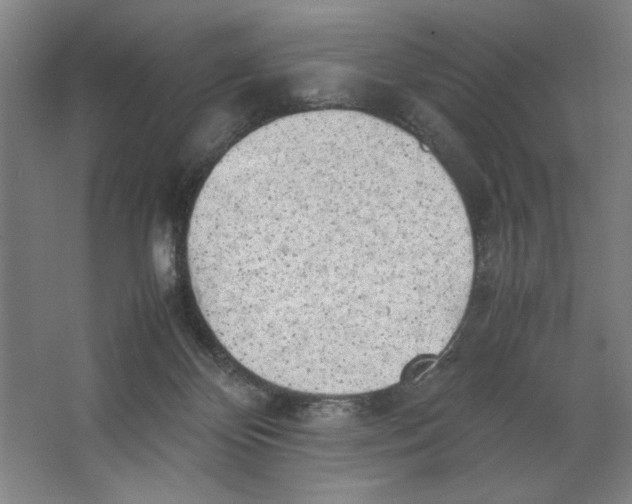 X0000062150124200512301603