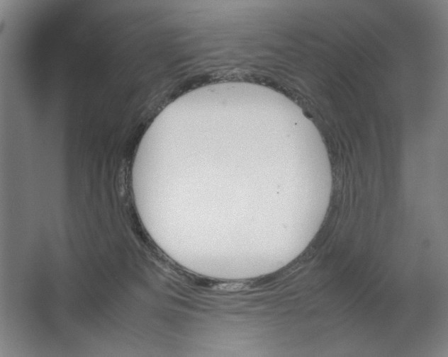 X0000062150133200512301603