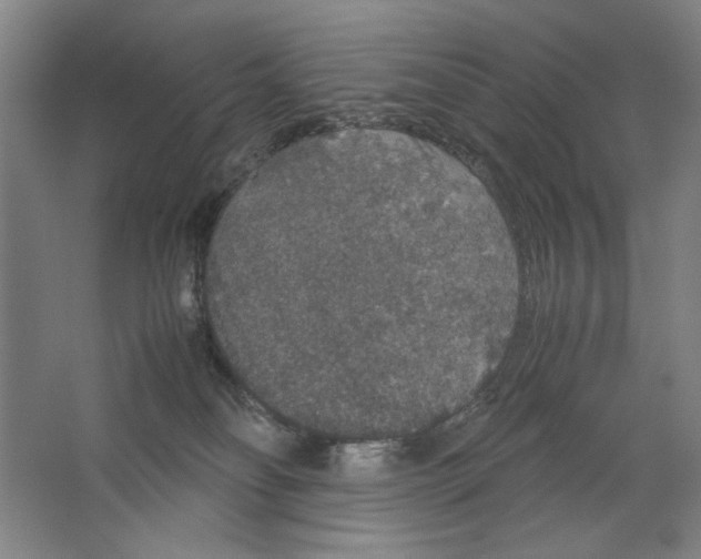 X0000062150134200512301603