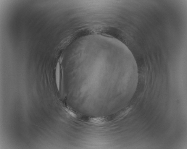 X0000062150139200512301603