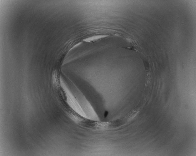 X0000062150143200512301603