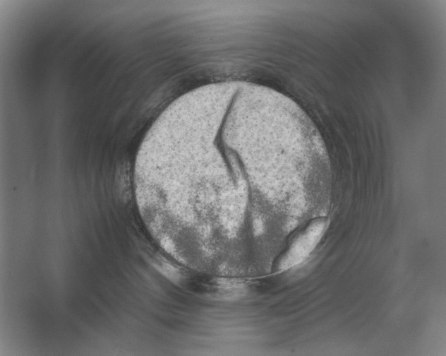 X0000062150144200512301603