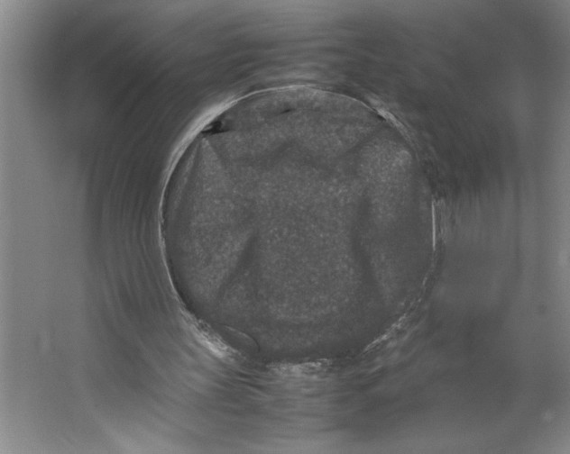 X0000062150147200512301602