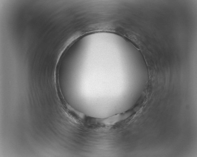 X0000062150148200512301602