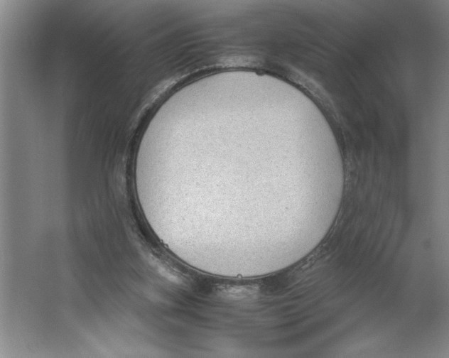 X0000062150155200512301602