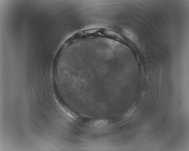 X0000062150156200512301602
