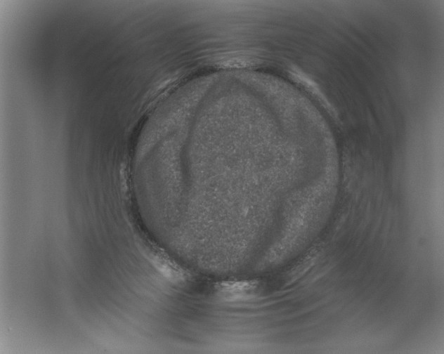 X0000062150161200512301602