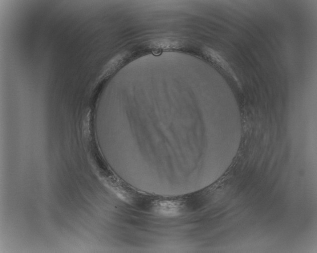 X0000062150163200512301602