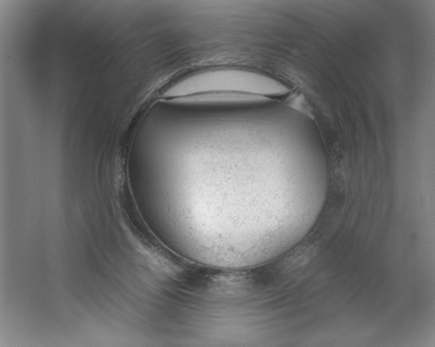 X0000062150164200512301602