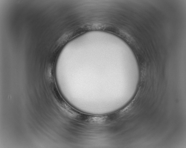 X0000062150166200512301602