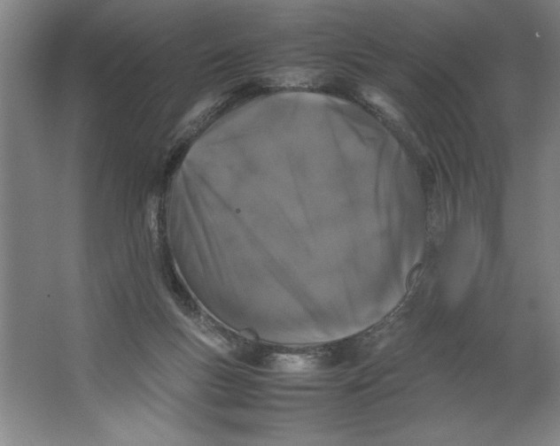 X0000062150167200512301602