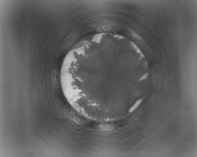 X0000062150169200512301602
