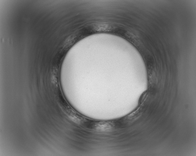 X0000062150175200512301602