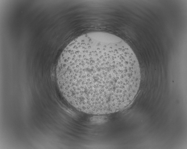X0000062150179200512301602