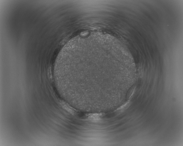 X0000062150182200512301603