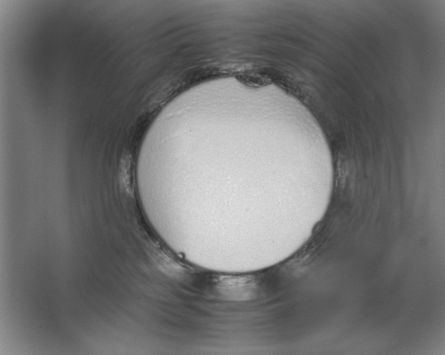 X0000062150185200512301603