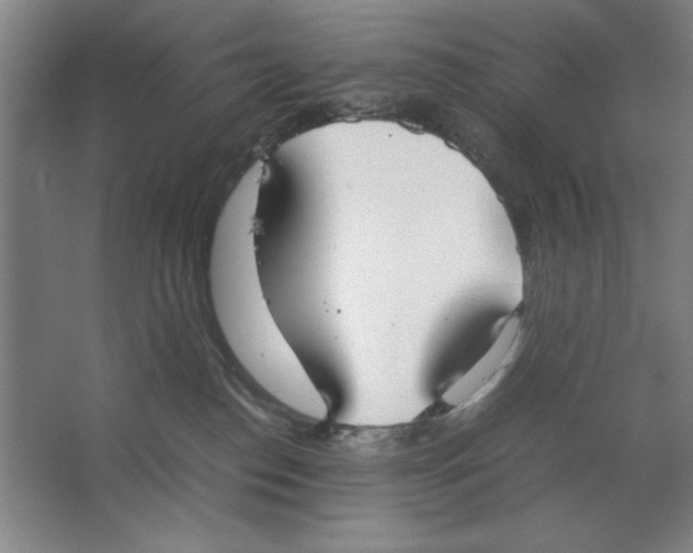 X0000062150186200512301603