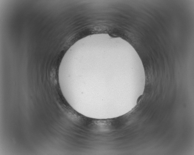 X0000062150187200512301603