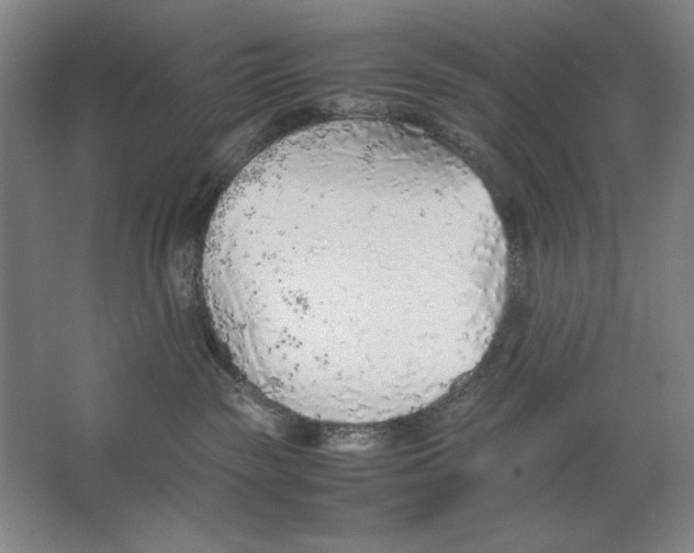 X0000062150189200512301603