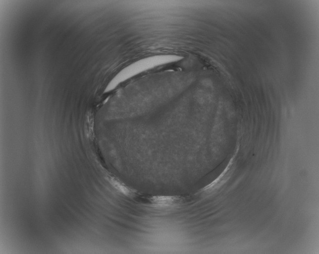 X0000062150192200512301603