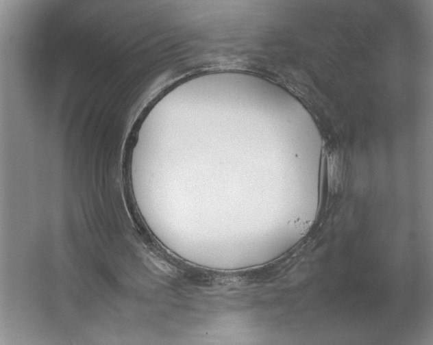 X0000062150195200512301602