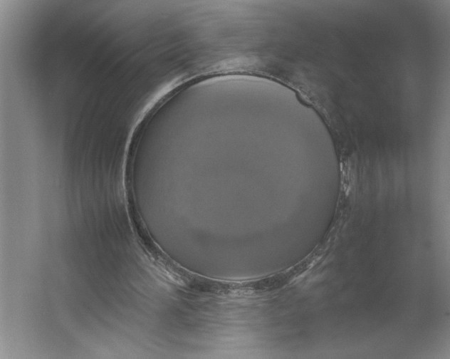X0000062150196200512301602