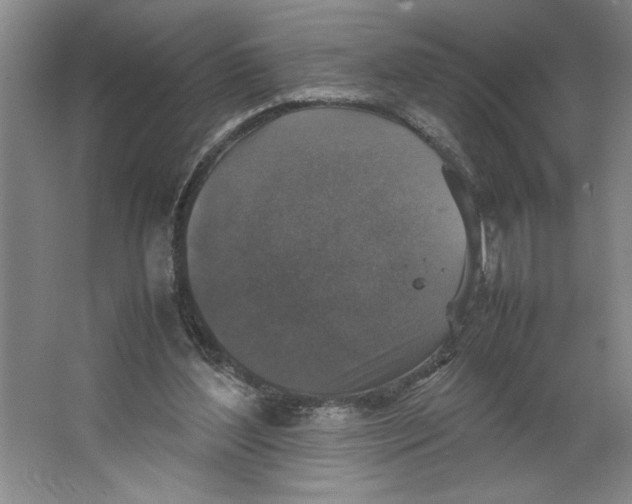 X0000062150204200512301602