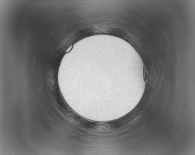 X0000062150215200512301601