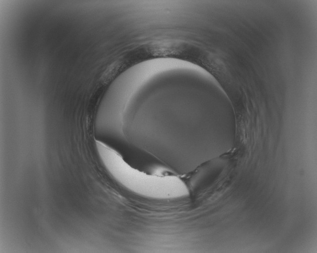 X0000062150219200512301601