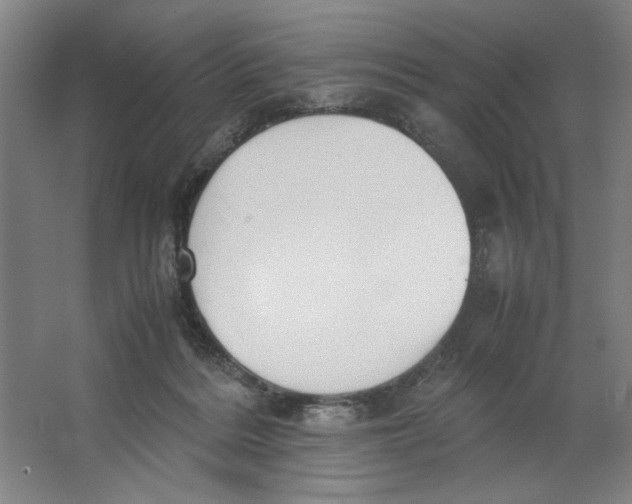 X0000062150220200512301601