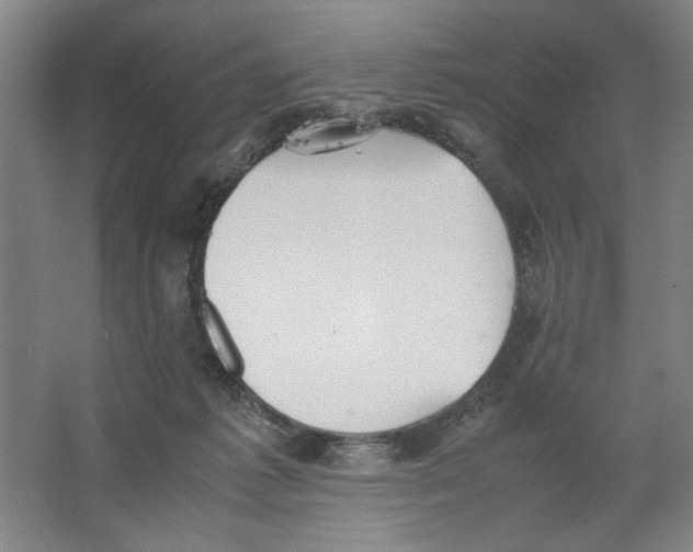 X0000062150221200512301601