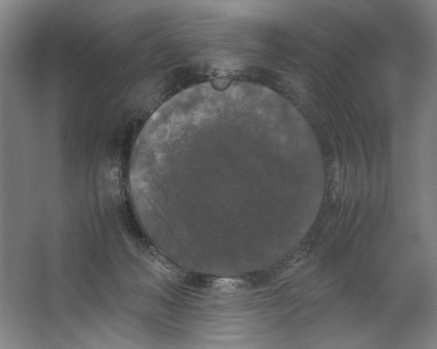 X0000062150222200512301601