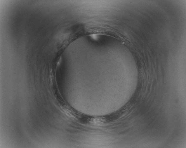 X0000062150223200512301601