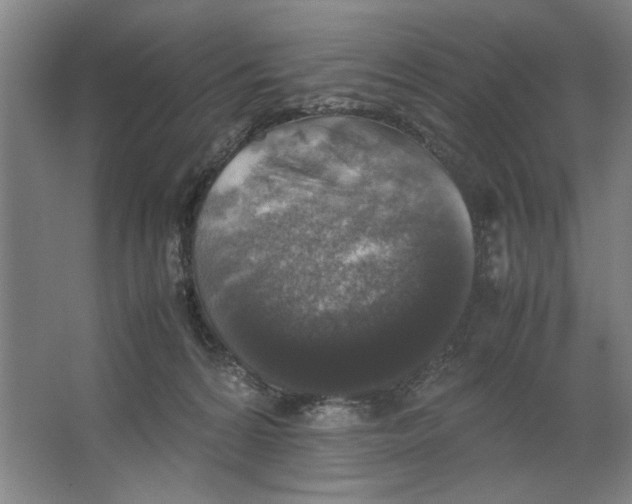 X0000062150224200512301601