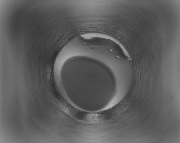 X0000062150227200512301601