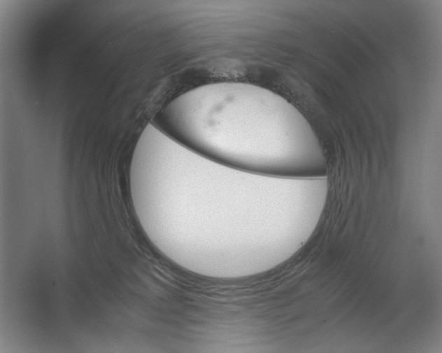 X0000062150229200512301601