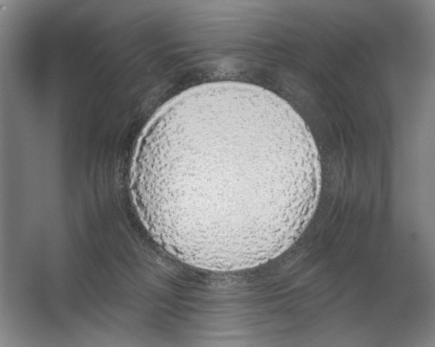 X0000062150230200512301601