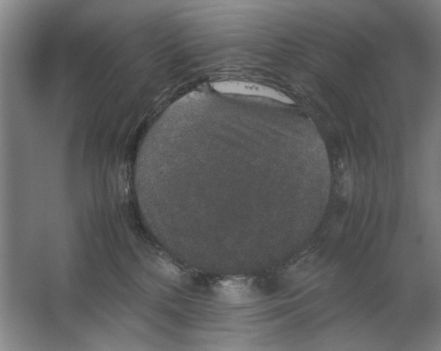 X0000062150232200512301601