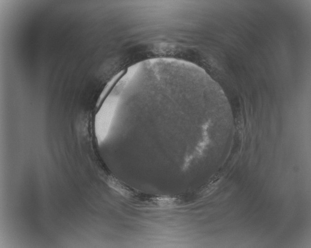 X0000062150233200512301601
