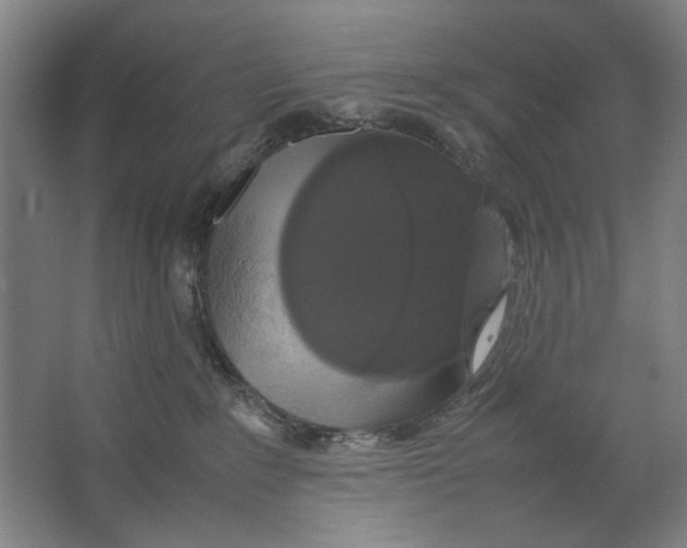X0000062150235200512301601